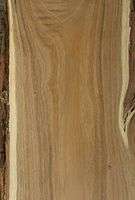 Robinia pseudacacia wood