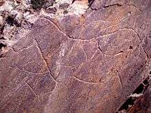 Rock carvings of animals including a horse