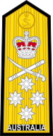 Australian admiral's shoulder board.