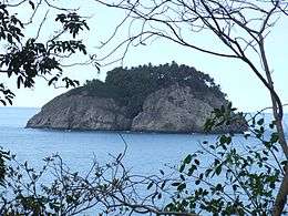 View of a small rocky island topped with dense vegetation