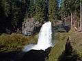 A waterfall in the middle of a forest, surrounded by rocks covered in lichen