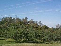 Photo of rolling hills studded with trees