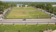 Sanborn Field