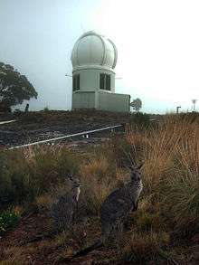 The dome-cylinder building in fog, with two kangaroos in front.