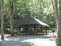 A green pyramidal roof over several picnic tables supported by large wooden pillars, surrounded by trees