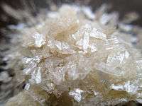 Crystals of sodium diethyldithiocarbamate