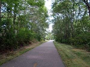 An asphalt path passing through woods