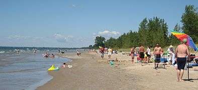 Photograph showing dozens of people along a beach who are swimming, sunbathing, and playing.