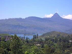 mountain forests with "Sri Pada" (Adam's peak) in the background