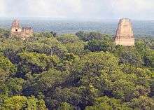 View of Tikal over rainforest trees