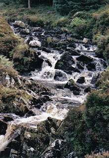 A flow of white water through a series of rocks