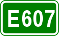 E607 shield