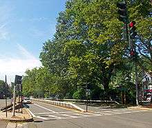 A four-lane road divided by a metal guardrail with trees on the right side and traffic signals, currently red, in the upper right-hand corner