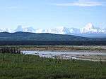 A shallow braided river flows over a plain partly covered by green plants and grasses. Jagged snow-covered mountains rise in the distance.