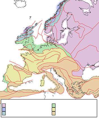 Tectonic map of Europe