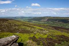 Moorland and open valley with Cleveland Hills in the distance