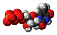 Space-filling model of the Thymidine diphosphate molecule, 3- negative charge