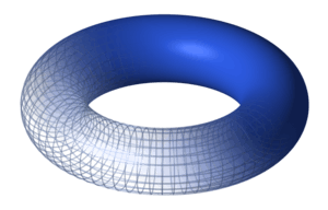 A torus.