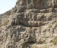  This photo shows a series of horizontal layers of soil in a road cut. In the center of the photo - barely visible - there is a geologist's hammer and a leather glove to establish perspective - they suggest that the layers are about 1 meter thick. In geology the type locale is a location where the first example of a newly described object was found - this is the type locale. This set of layered beds, although nowhere near as clearly pronounced in layering as in several of the other photos, shows the first location where the Touchet Formation was identified in the published literature.