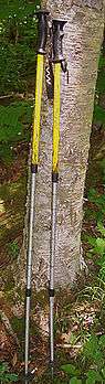 =A pair of retractable poles with black handles and three fully extended retractable sections, yellow at the top and metallic silver at the bottom, resting against a birch tree