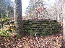 A low fieldstone wall next to a tree trunk in a wooded area