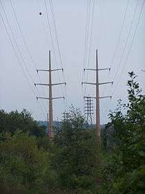 Electrical wires through a wooded area