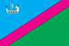 Flag of Velykonovosilkivskyi Raion