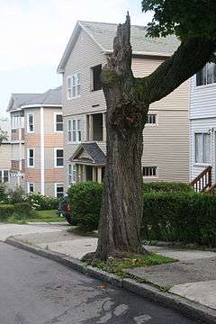 View Street Historic District