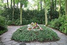 Several floral tributes are laid on a flat gravestone that is in the middle of a large bed full of low leafy plants. A crazy-paved path passes either side of the bed.