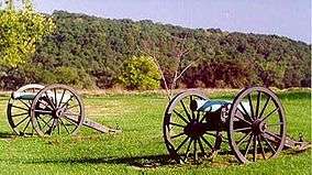 two cannons with wooden wheels and metal barrels, in a field