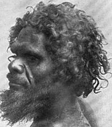 Workii Australoid man from Gilbert River, South Australia.