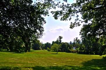 A large lawn with scattered trees